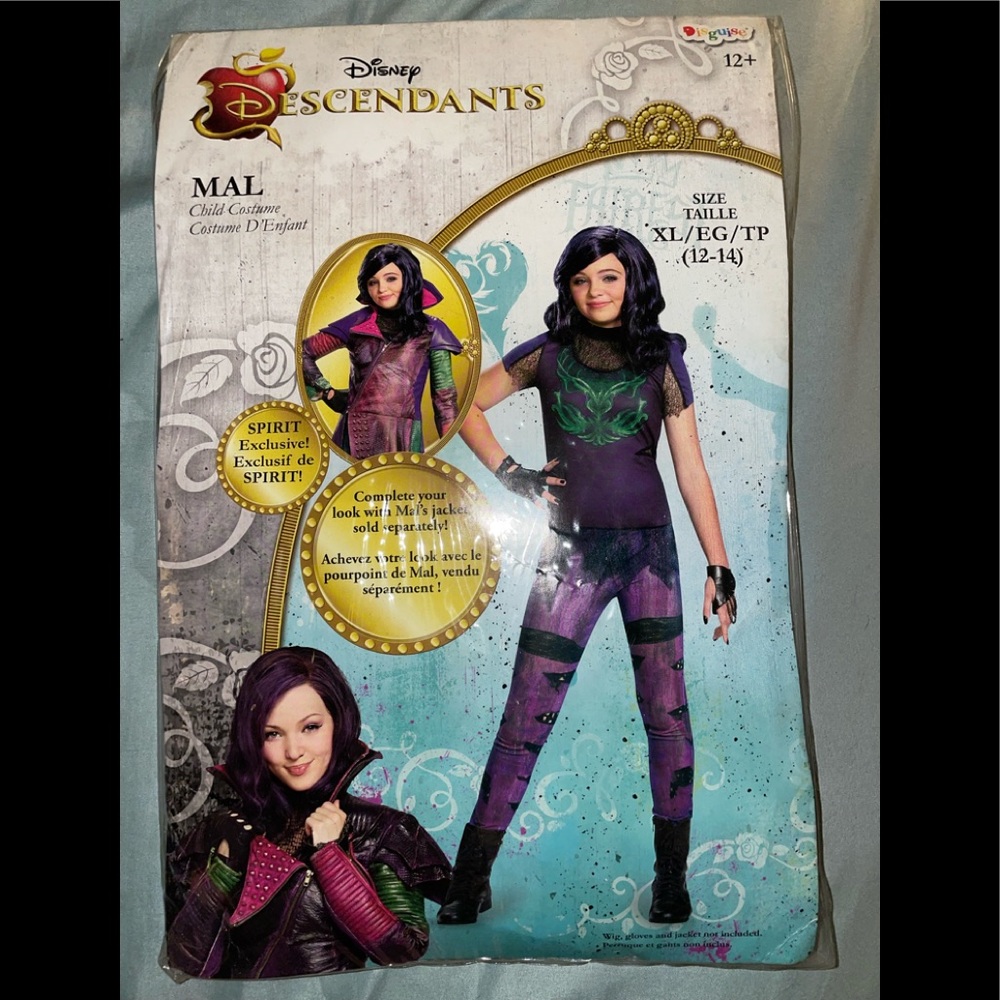 Disney Descendants costume